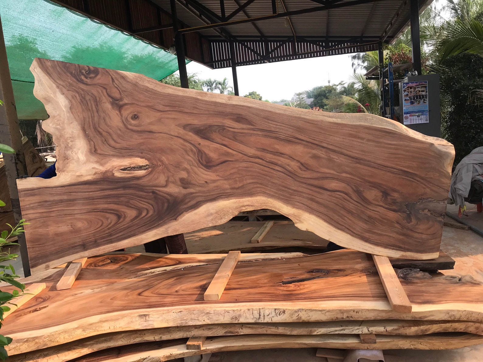 Live Edge Wooden Wall Decor Beautiful Large Live Edge Wood Etsy