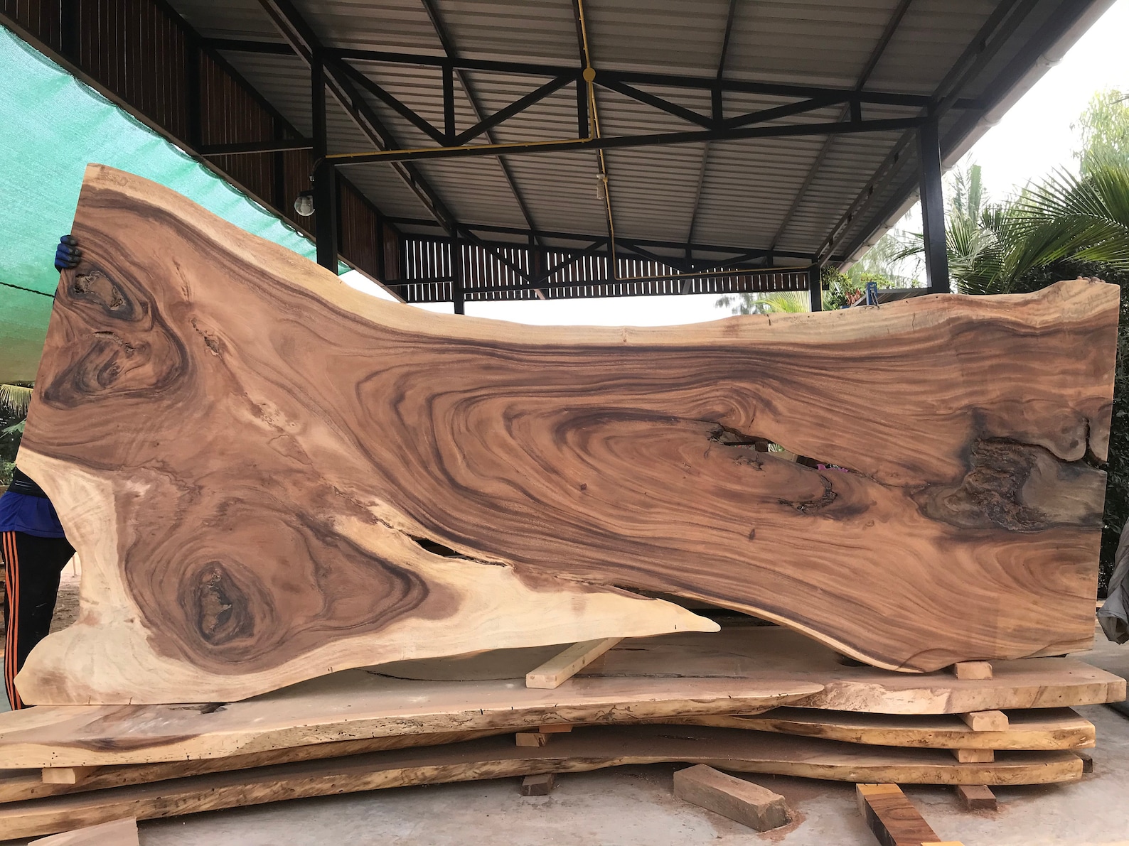 Live Edge Wooden Wall Decor Beautiful Large Live Edge Wood Etsy