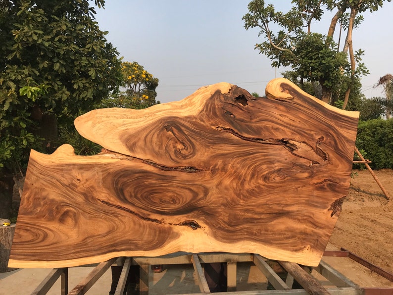 Live Edge Wooden Wall Decor Beautiful Large Live Edge Wood Etsy