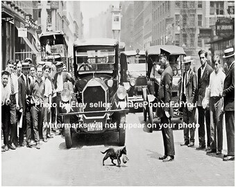 Antique Vintage Old Cute Cat, Kitten and Traffic Cop Stop New York City Traffic Funny Photo/Picture/Wall Art/Decor