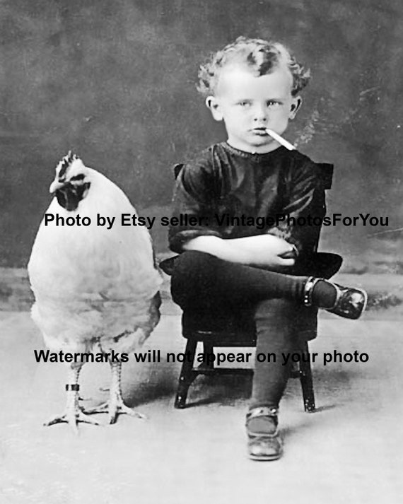 Vintage 1920s Weird Strange Funny Chicken and Cigarette - Etsy Vintage 1920s Weird Strange Funny Chicken and Cigarette - Etsy