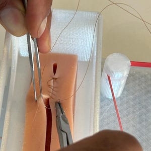 Puede incluir: Primer plano de un modelo de entrenamiento médico con una herida simulada que se está suturando. Se utilizan instrumentos quirúrgicos, como pinzas y portaagujas, para coser la herida con hilo marrón. El modelo está en un recipiente de plástico transparente.