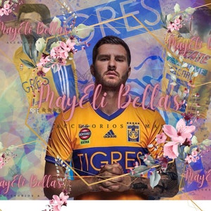 Vaso Wrap Tigres UANL 20oz