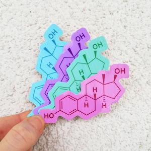Calcomanía de vinilo para computadora portátil con la estructura química del estrógeno.