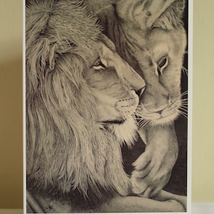 Löwe Kunst Karte. Raubkatzenkunst, Wildtierkunst, wilde Tierkarte. Monochrome Bleistiftzeichnung, Fine Art Karte von Löwe und Löwin.
