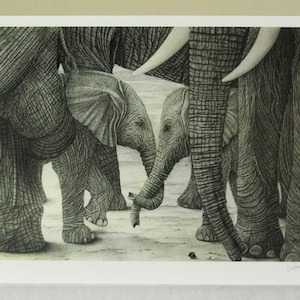 Carte d’art éléphant. Carte pour les amoureux des éléphants. une famille d'éléphants dessinée au graphite. Dessin d’art d’éléphants en bas âge. Carte pour la famille.