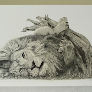 Lion greeting card. Blank animal art card of lion drawing. Wildlife art card, wildlife drawing. Cat and lion lovers card.
