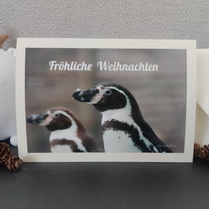 Weihnachtskarte, Pinguin, Klappkarte, mit Briefumschlag, Grußkarte, Vogel, Weihnachten, Karte, Winter