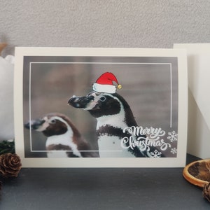 Weihnachtskarte, Pinguin, Klappkarte, mit Briefumschlag, Grußkarte, Vogel, Weihnachten, Karte, Winter, tierisch
