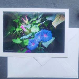 Wenskaart bloesem, vouwkaart, met envelop, morning glory, kaart, lente, zomer, bloemen, bloem, zonder tekst, wenskaart, universeel, blauw