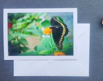 Grußkarte Schmetterling, Klappkarte, mit Briefumschlag, Karte, Frühling, Sommer, ohne Text, Glückwunschkarte, universal, Tier, tierisch