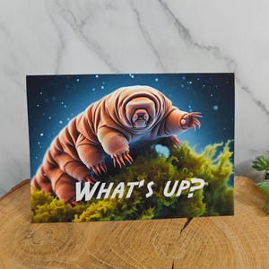Grußkarte, What's up, Klappkarte, Briefumschlag, Bärtierchen, Tier, Tardigrade, Mikroskop, Biologie, Natur, Nerd, Wie geht's, Freundschaft