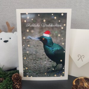 Weihnachtskarte, Vogel, Klappkarte, mit Briefumschlag, Grußkarte, Weihnachten, Karte, Winter, Foto