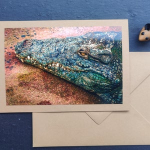 Wenskaart krokodil, vouwkaart, met envelop, reptiel, kaart, lente, zomer, dier, dier, zonder tekst, wenskaart, universeel
