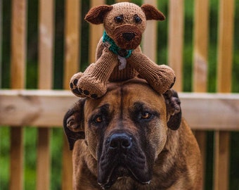 custom pet plush