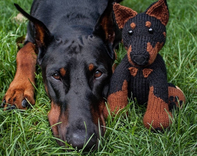 Mini Pet- Custom Pet Plush- Knitted