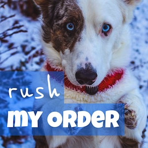 Rush my Order