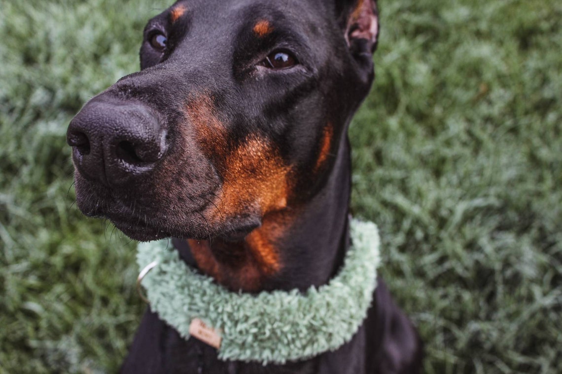 Plush Collars Faux Fur Pet Collar Knitted Made to Order Etsy