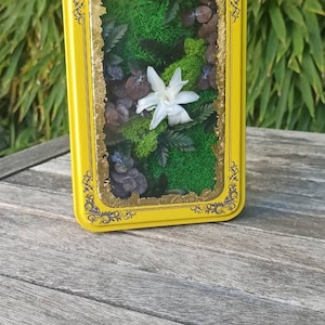 CANDY BOX