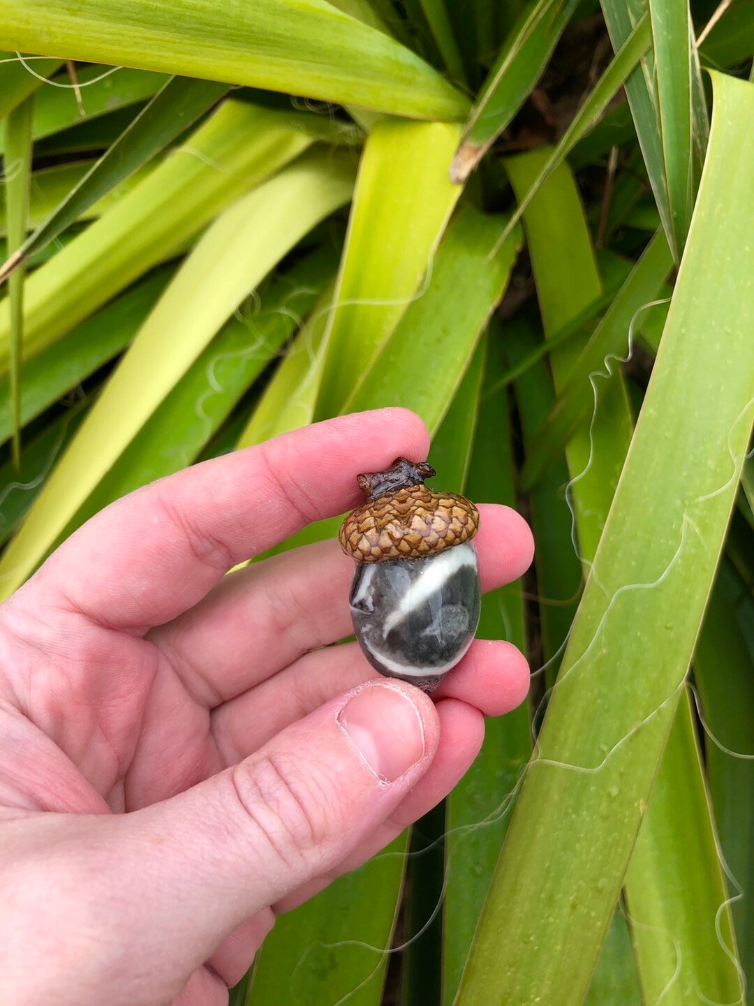 Clam Shell Jasper Acorn Pendant Etsy