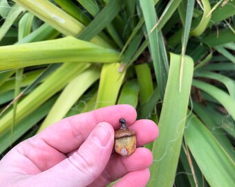 Crazy Lace Jasper Mini Acorn Pendant