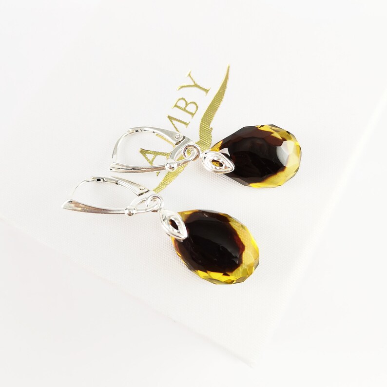 Amber jewelry Amber set Amber earrings and luxury pendant