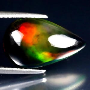 May include: A teardrop-shaped black opal gemstone with vibrant internal fire. The opal displays flashes of red, orange, and green within its dark body, held by silver tweezers. The polished surface reflects light.