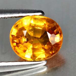 May include: A faceted, oval-shaped, golden-yellow gemstone. The gem is held by a pair of silver tweezers, showcasing its brilliant cut and clarity. The stone's facets reflect light, creating a sparkling effect.