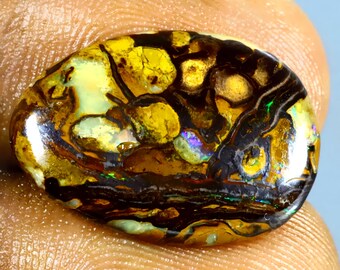 ボルダーオパール ルースストーン 8.06 ct Fancy Shape (19 x 13 mm) Multi Color Australian Koroit Boulder Opal Natural Loose Gemstone 8.47 Ct Best Fancy Shape (20 X 14 Mm) Multi Color Australian