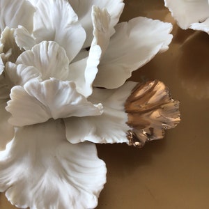 Hand sculpted Porcelain Parrot Tulip Flower, White & Gold 3D Wall Décor