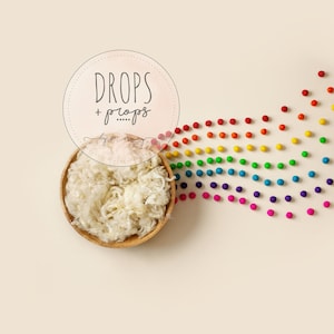 Newborn Digital Background / Rainbow Newborn Digital Backdrop / Rainbow Baby Newborn Digital Backdrop / Digital Backdrop Newborn Unisex