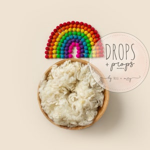 Newborn Digital Background / Rainbow Newborn Digital Backdrop / Rainbow Baby Newborn Digital Backdrop / Digital Backdrop Newborn Unisex