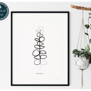Eucalyptus Line Art Print: Boho Botanical Wall Decor