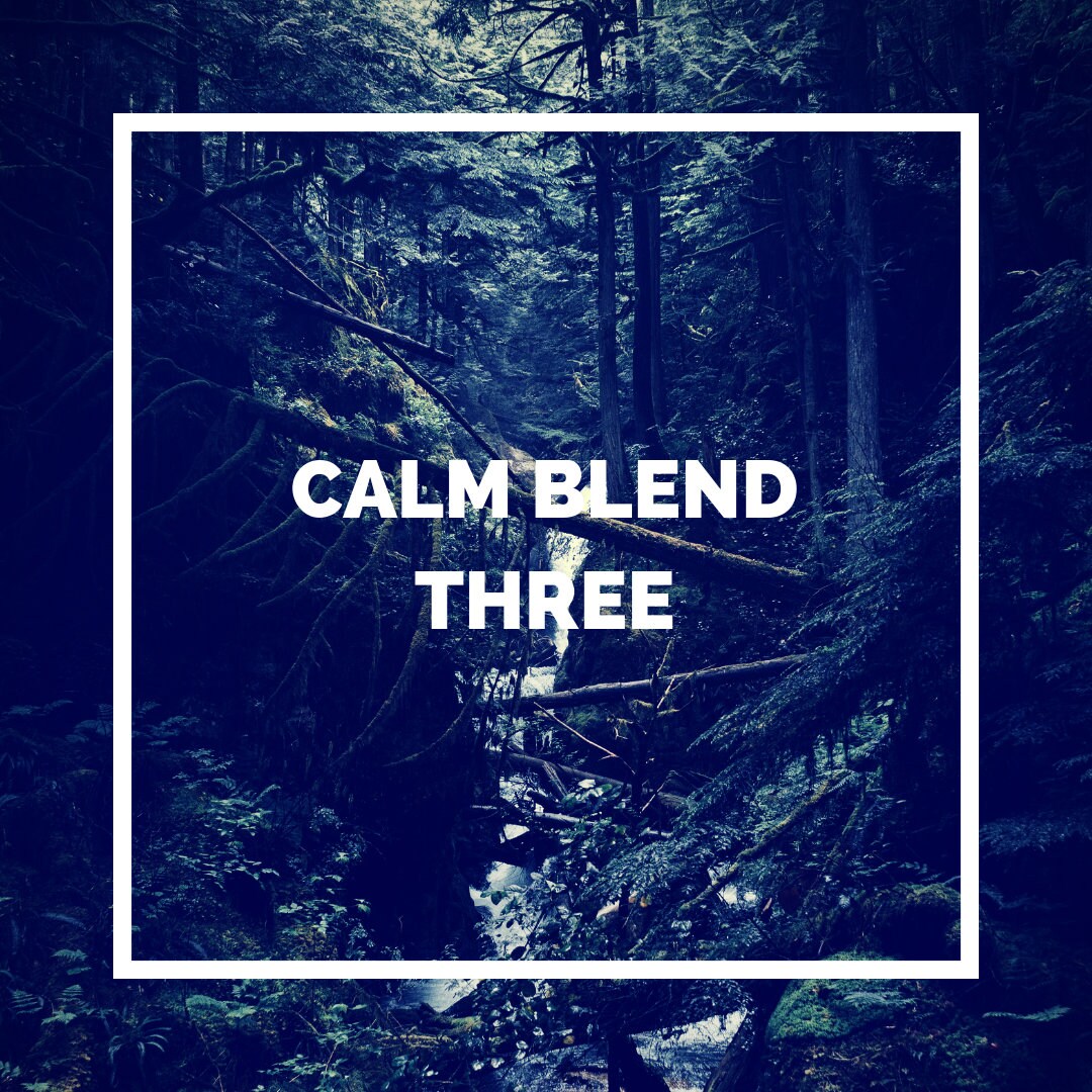 Luxury Woody Essential Oil Candle Etsy UK