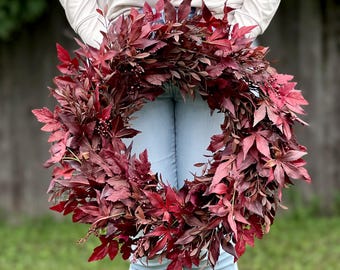 Burgundy Maple Cimicifuga Fall Wreath for Front Door | Fall Porch Decor | Halloween Wreath | Moody Autumn Wreath