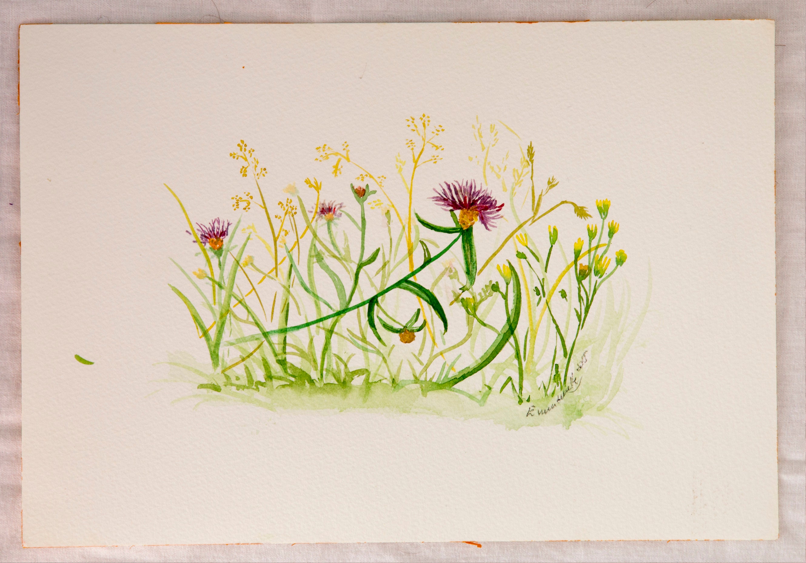 Peinture Aquarelle Originale Fait Main Fleurs de Montagne Savoie France