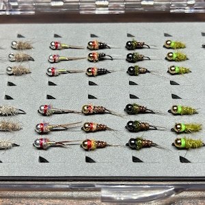 Trout Flies for Fly Fishing Flies for Trout Nymph Flies in Fly Box Euro Nymphs Assortment 42 Jig Nymphs