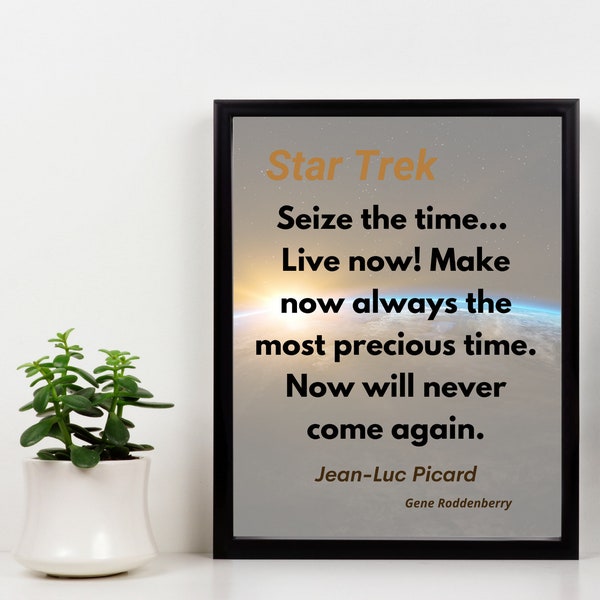 sale | Star Trek next gen | Picard- Seize the time quote | TV and movie | PDF & JPG | printable | 4:5 aspect | instant download