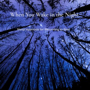 Op de afbeelding: Een afbeelding van een bos met een sterrenhemel. De tekst "When You Wake in the Night" staat bovenaan, met "Sleep Hypnosis for Returning to Rest" eronder. De afbeelding is diepblauw met silhouetten van bomen.