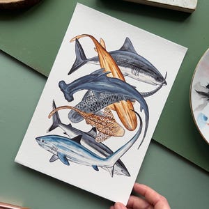 Sharks Print, A5 Fine Art Print