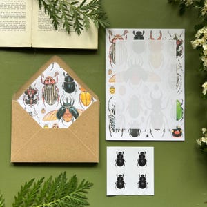 Beetles and Bugs, Letter Writing Set, Stationery pack
