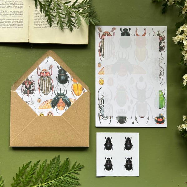 Beetles and Bugs, Letter Writing Set, Stationery pack