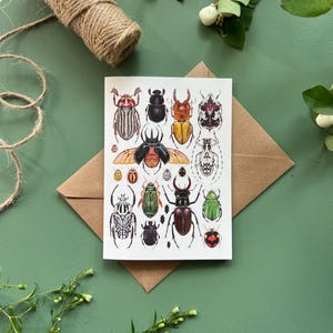 Beetles Card, Blank greeting card, watercolour print
