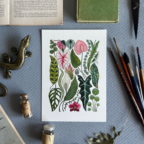 House Plants Print