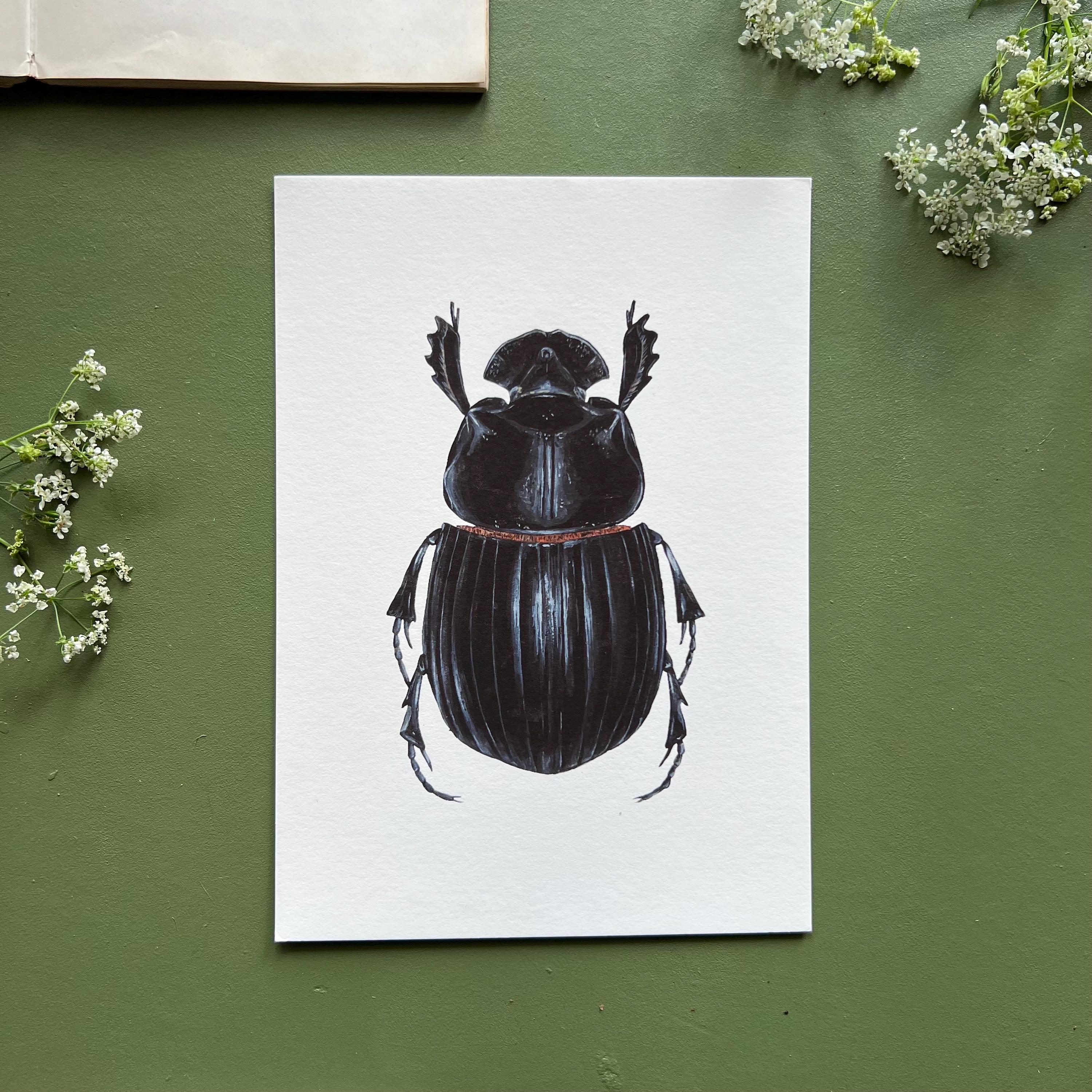 Horned Dung Beetle Print, Entomology Fine Art Print