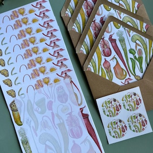 Carnivorous Plants, Letter Writing Set, stationery set, gift set, Botanical