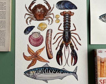 Marine Life Print