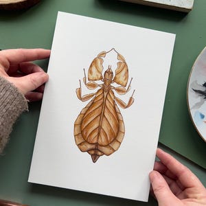 Leaf Insect, 100% cotton print