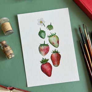 Ripening Strawberries Print, A5 Watercolour Fine Art Print image 3