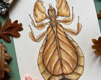 Original Leaf Insect Watercolour Painting